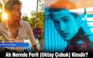 Ah Nerede Ferit (Oktay Çubuk) Kimdir?