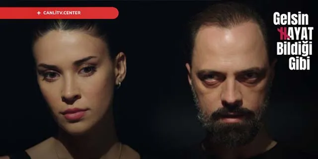 gelsin hayat bildigi gibi dizisi konusu