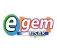 Uşak Egem TV